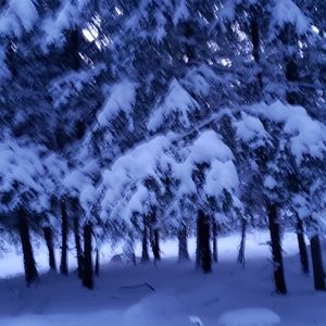 Meet your Posher, Curtis